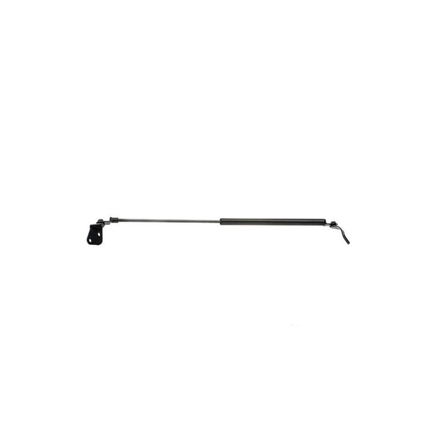 Tailgate Strut - RIDEX 219G0373