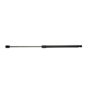 Tailgate Strut - RIDEX 219G0368