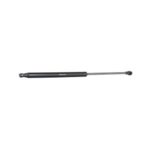 Tailgate Strut - RIDEX 219G0363