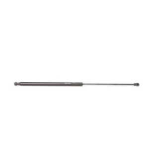 Tailgate Strut - RIDEX 219G0361