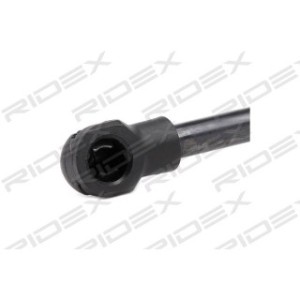 Tailgate Strut - RIDEX 219G0361