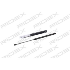 Tailgate Strut - RIDEX 219G0361