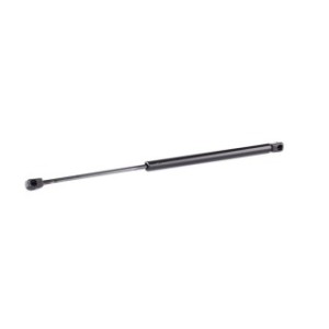 Tailgate Strut - RIDEX 219G0360