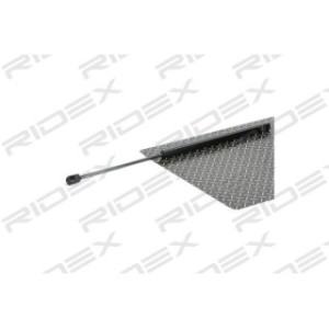 Tailgate Strut - RIDEX 219G0360