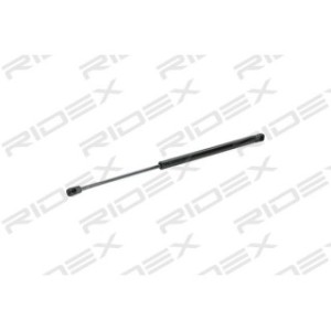 Tailgate Strut - RIDEX 219G0360