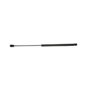Tailgate Strut - RIDEX 219G0359