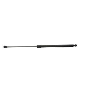 Tailgate Strut - RIDEX 219G0358
