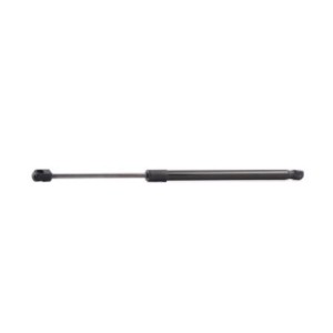 Tailgate Strut - RIDEX 219G0355