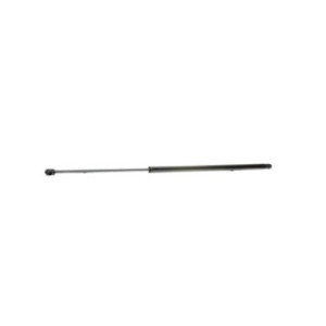 Tailgate Strut - RIDEX 219G0353