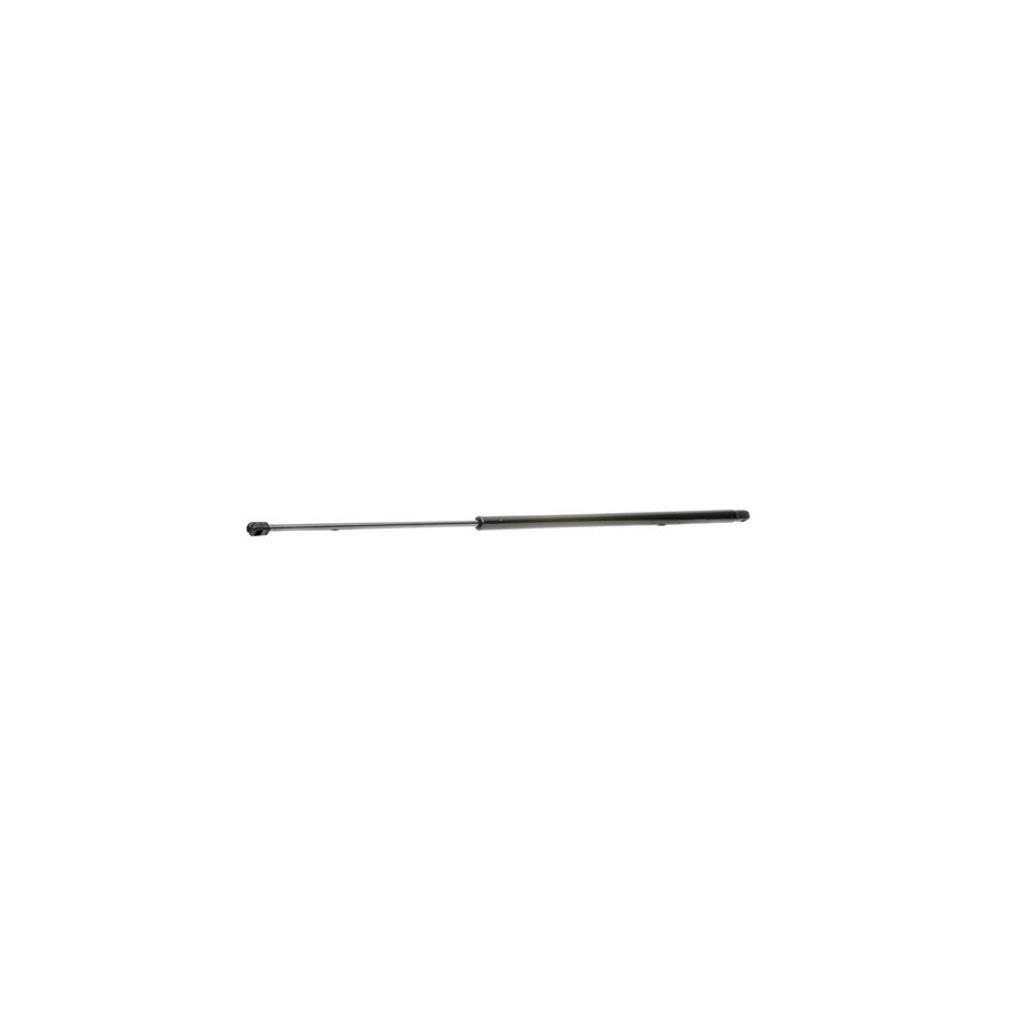Tailgate Strut - RIDEX 219G0353