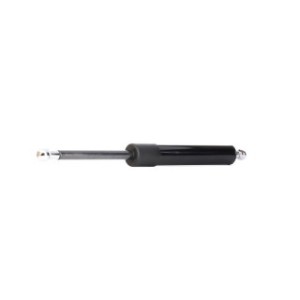 Tailgate Strut - RIDEX 219G0349