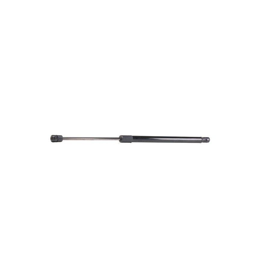 Tailgate Strut - RIDEX 219G0102