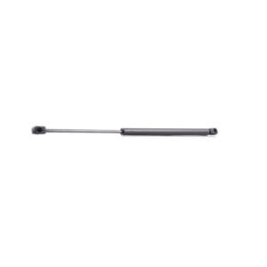 Tailgate Strut - RIDEX 219G0109