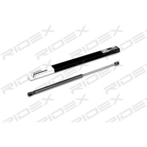 Tailgate Strut - RIDEX 219G0109