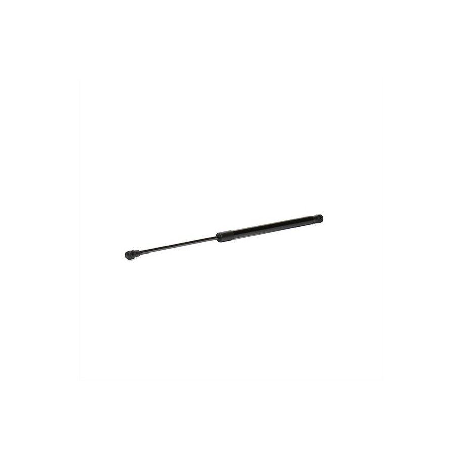 Tailgate Strut - RIDEX 219G0348