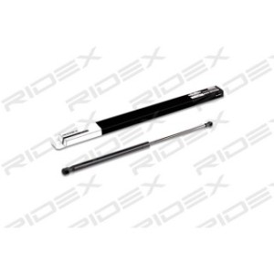 Tailgate Strut - RIDEX 219G0348