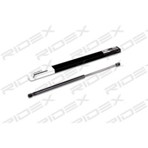 Tailgate Strut - RIDEX 219G0110