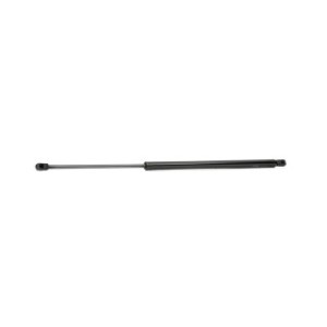 Tailgate Strut - RIDEX 219G0113