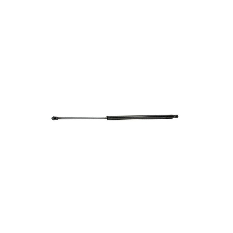 Tailgate Strut - RIDEX 219G0113
