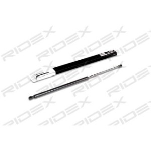 Tailgate Strut - RIDEX 219G0113