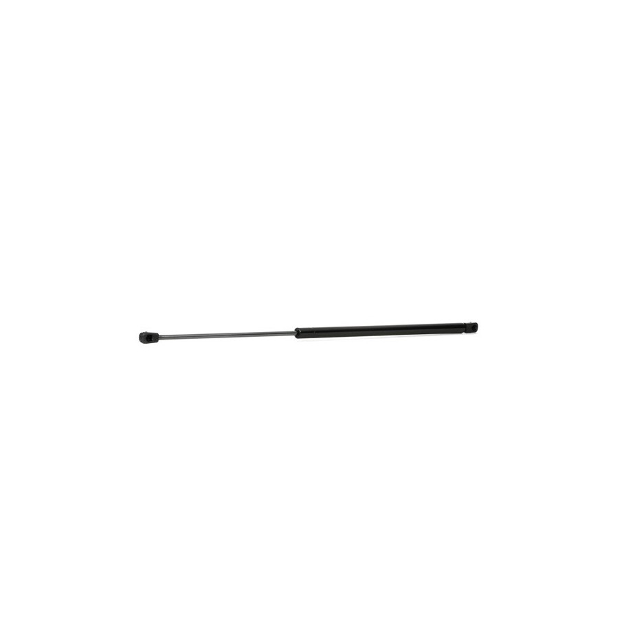 Tailgate Strut - RIDEX 219G0114