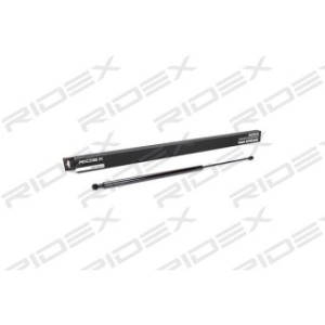 Tailgate Strut - RIDEX 219G0114