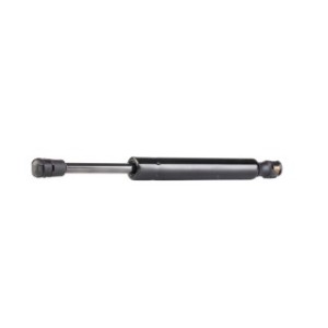 Tailgate Strut - RIDEX 219G0119