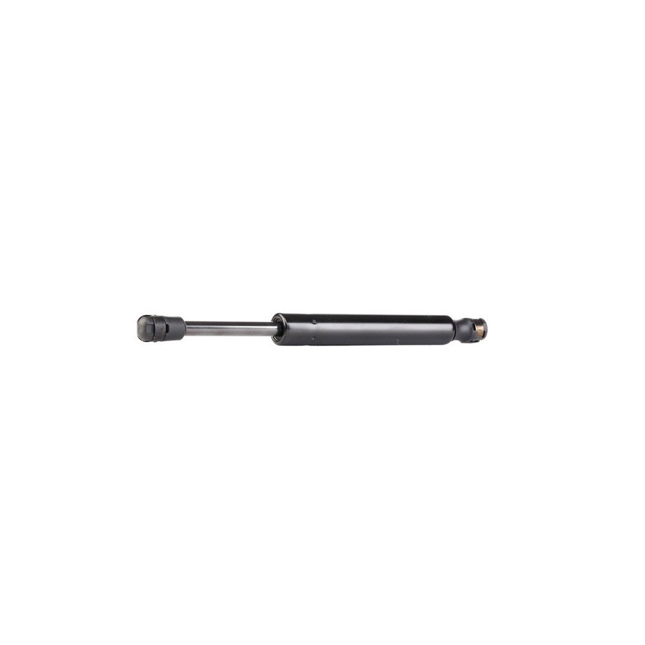 Tailgate Strut - RIDEX 219G0119