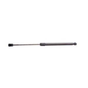 Tailgate Strut - RIDEX 219G0121