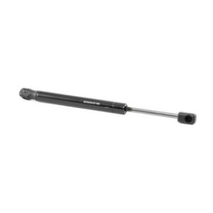 Tailgate Strut - RIDEX 219G0344