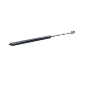 Tailgate Strut - RIDEX 219G0343