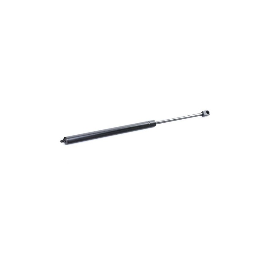 Tailgate Strut - RIDEX 219G0343