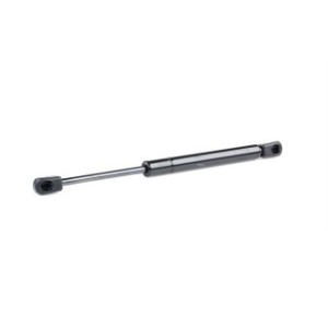 Tailgate Strut - RIDEX 219G0341