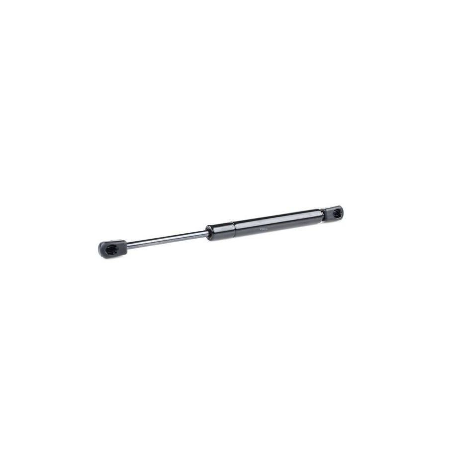 Tailgate Strut - RIDEX 219G0341