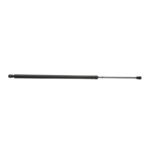 Tailgate Strut - RIDEX 219G0340