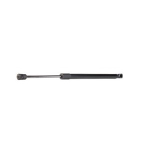 Tailgate Strut - RIDEX 219G0338