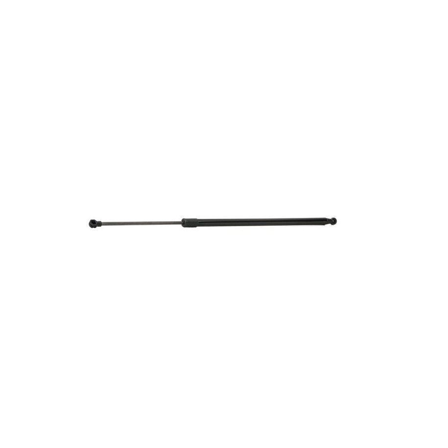Tailgate Strut - RIDEX 219G0134