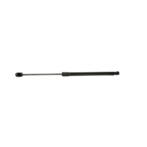 Tailgate Strut - RIDEX 219G0336