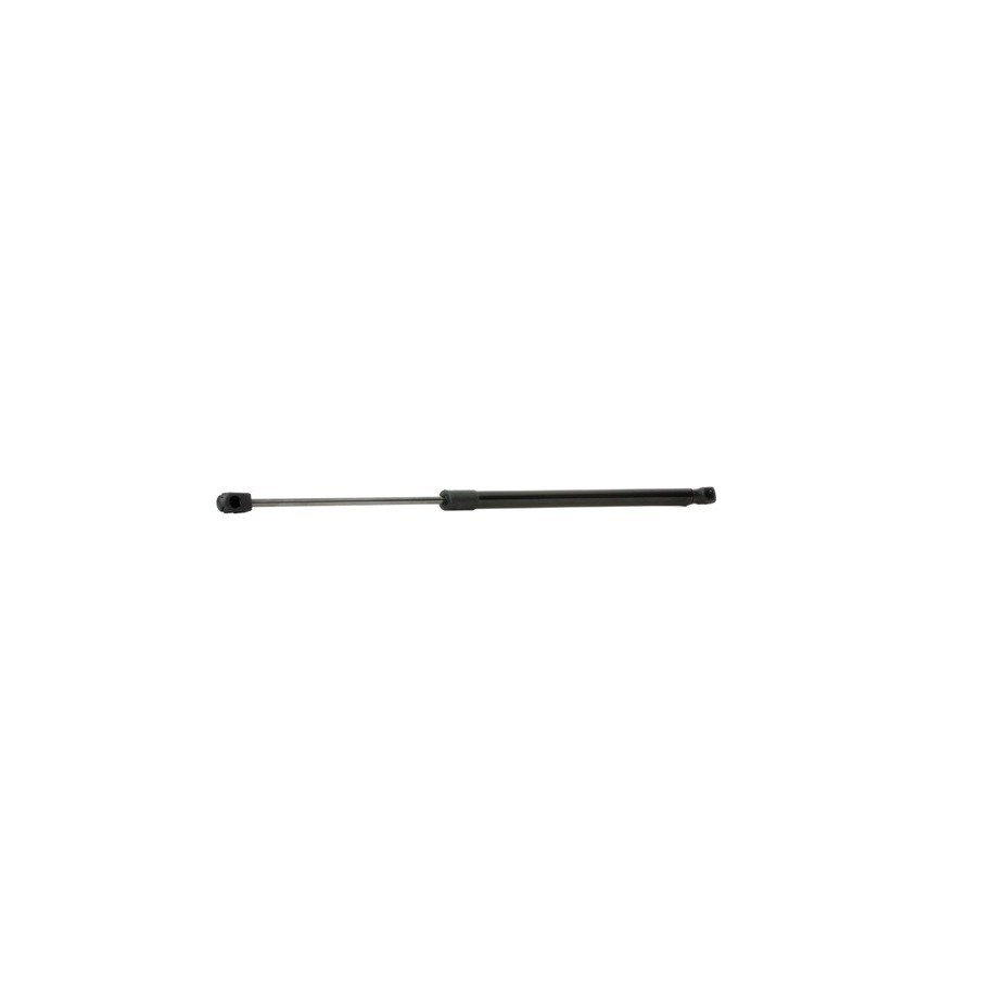 Tailgate Strut - RIDEX 219G0336