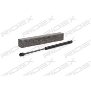 Tailgate Strut - RIDEX 219G0136