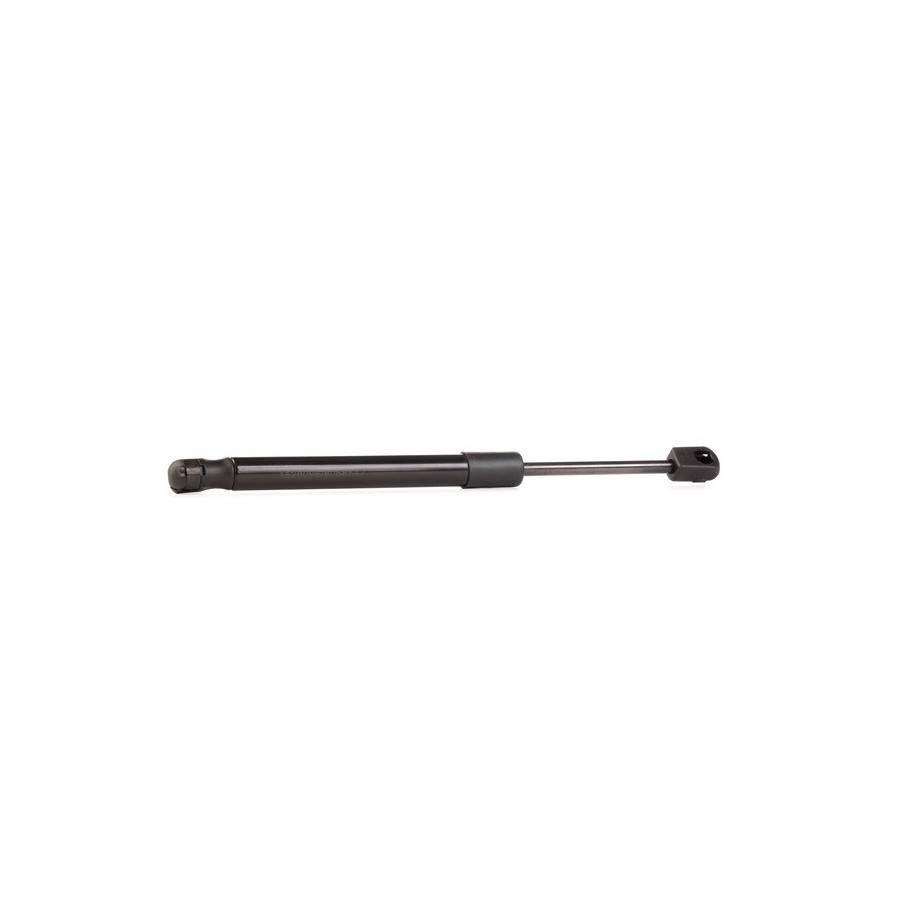 Tailgate Strut - RIDEX 219G0138