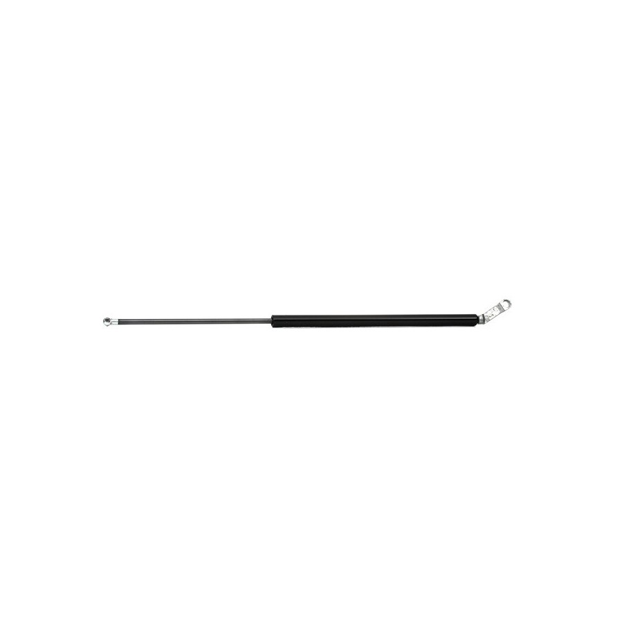 Tailgate Strut - RIDEX 219G0332