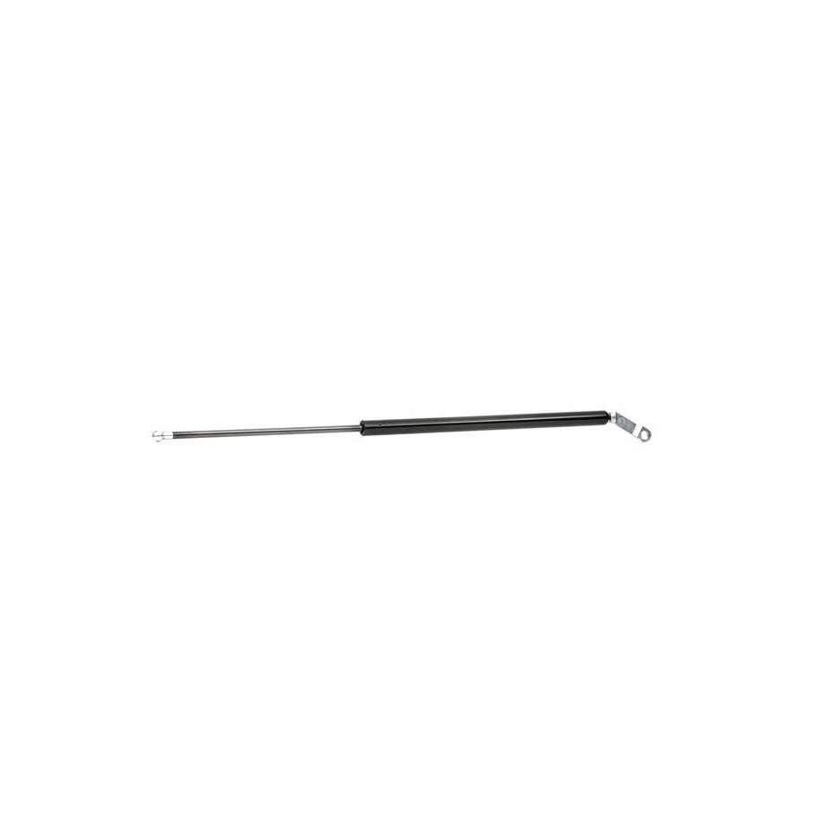 Tailgate Strut - RIDEX 219G0331
