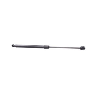 Tailgate Strut - RIDEX 219G0324