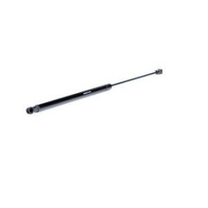 Tailgate Strut - RIDEX 219G0315