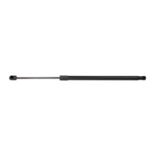 Tailgate Strut - RIDEX 219G0145