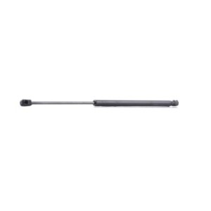 Tailgate Strut - RIDEX 219G0146