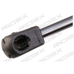 Tailgate Strut - RIDEX 219G0146