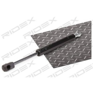 Tailgate Strut - RIDEX 219G0146