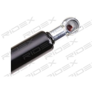 Tailgate Strut - RIDEX 219G0146